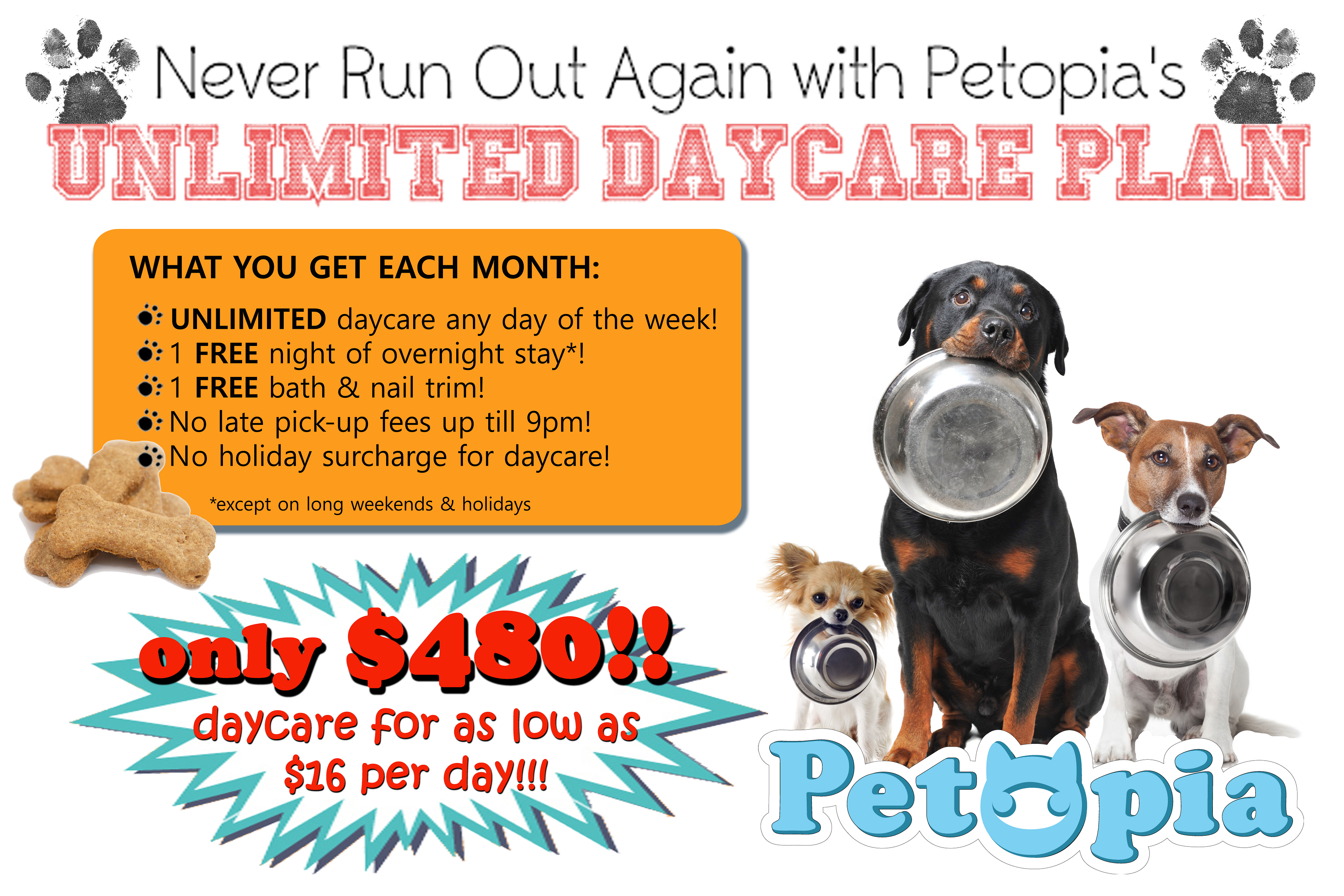 daycare ad
